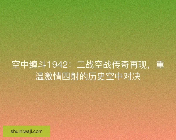 空中缠斗1942：二战空战传奇再现，重温激情四射的历史空中对决