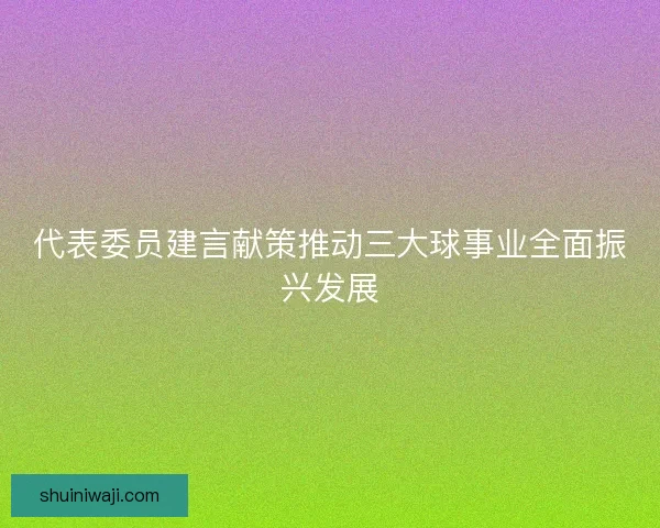 代表委员建言献策推动三大球事业全面振兴发展 代表委员建言献策推动三大球事业全面振兴发展
