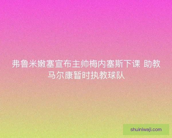 弗鲁米嫩塞宣布主帅梅内塞斯下课 助教马尔康暂时执教球队 弗鲁米嫩塞宣布主帅梅内塞斯下课 助教马尔康暂时执教球队