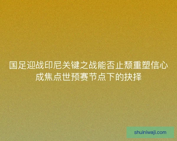国足迎战印尼关键之战能否止颓重塑信心成焦点世预赛节点下的抉择