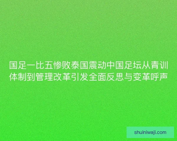 国足一比五惨败泰国震动中国足坛从青训体制到管理改革引发全面反思与变革呼声 国足一比五惨败泰国震动中国足坛从青训体制到管理改革引发全面反思与变革呼声