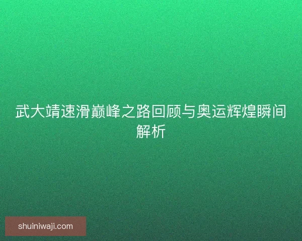 武大靖速滑巅峰之路回顾与奥运辉煌瞬间解析 武大靖速滑巅峰之路回顾与奥运辉煌瞬间解析